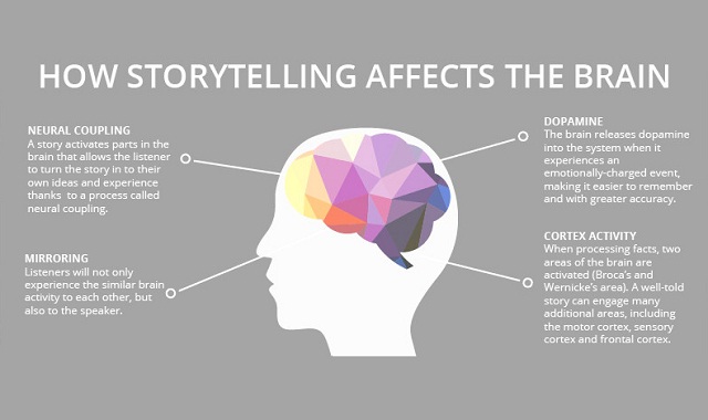 effect on brain The-Science-of-Storytelling-infographic