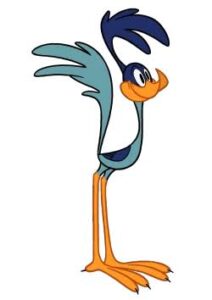 The Road Runner